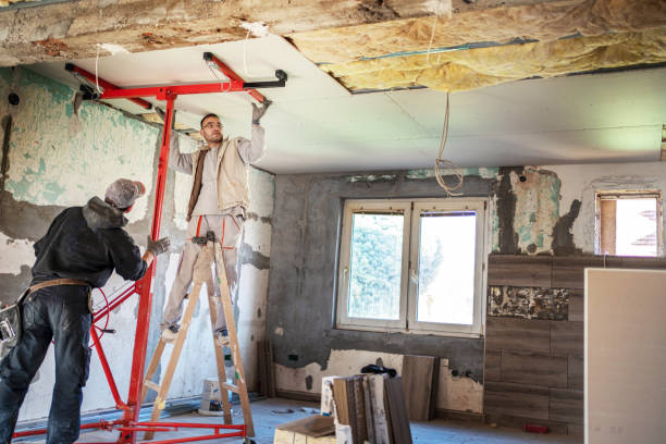 Best Specialized Insulation Services in Brodhead, KY