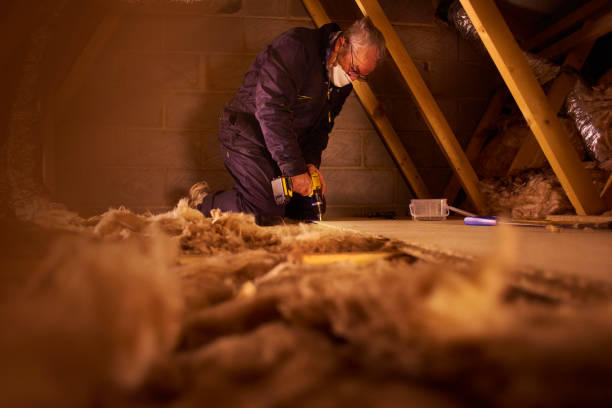 Best Cellulose Insulation in Brodhead, KY